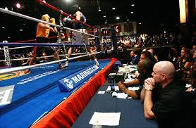 Judges and Boxing